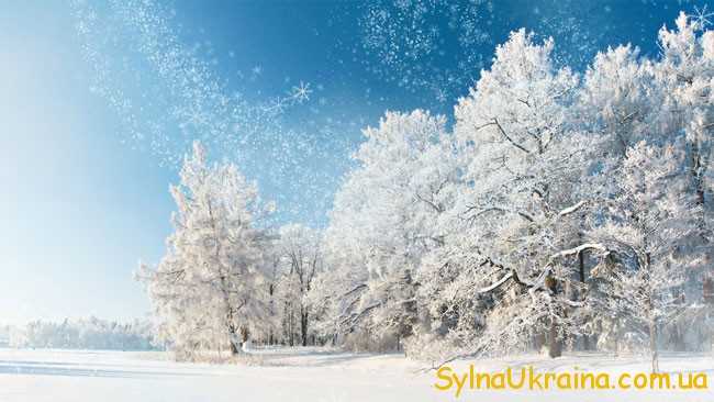 Чим порадує жителів України січнева зима?