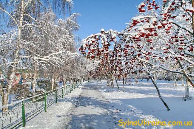  українці накінець зможуть насолодитись красою справжньої зимової казки