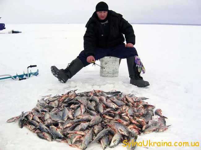 зимова риболовля