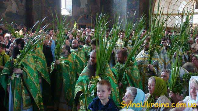 В церквах священнослужителі одягали одежу зеленого кольору