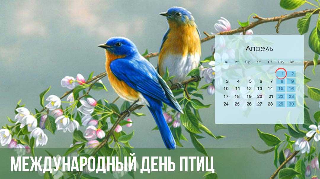 День птахів у 2023 році – дата, історія свята