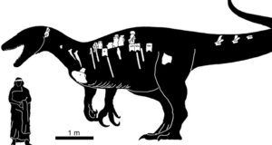 Огромный хищный динозавр из Аргентины. Трехэтажный мегараптор Огромный хищный динозавр из Аргентины. Трехэтажный мегараптор