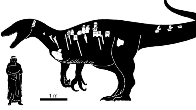 Огромный хищный динозавр из Аргентины.  Трехэтажный мегараптор