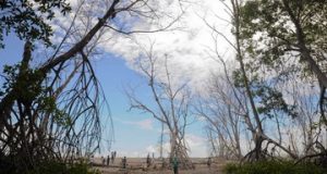 Англійський клуб створив футболки з посланням. Привертає увагу до зміни клімату Англійський клуб створив футболки з посланням. Привертає увагу до зміни клімату