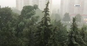 Численні втручання пожежників після штормів у багатьох регіонах Польщі Близько тисячі повідомлень про збитки після буревіїв у Куявсько-Поморському воєводстві