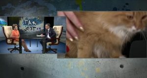 Кішка в основі інвазивних чужорідних видів. Експерт про причини занесення домашньої кішки Сумінська: Оскільки у нас залишилося небагато дрібних тварин, ми повинні звинувачувати когось іншого. Найпростіше для кота