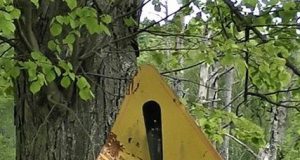 Кордон Польщі з Калінінградським районом. Економічний колапс, безробіття, знелюдні міста Кордон Польщі з Калінінградським районом. Економічний колапс, безробіття, знелюдні міста