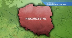 Погода на сьогодні – понеділок 25.07. Тепло повертається, тільки сонце на небі Терміни біометео в понеділок