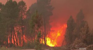 Пожежі. Іспанія Португалія. Понад 20 тисяч гектарів. Стільки згоріло за останній день лісів і пустирів на Піренейському півострові Пожежі в Португалії