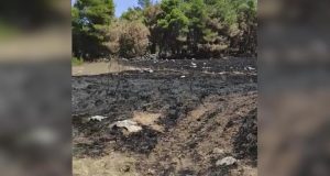 Пожежі в Хорватії. Звіти польських туристів. Деякі люди беруть відпустку 1557930_wyspa_vir_OK.mp4