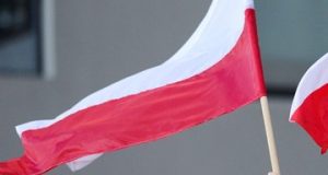 Всесвітні ігри-2022: у біло-червоних уже одинадцять медалей у Бірмінгемі Всесвітні ігри-2022: у біло-червоних уже одинадцять медалей у Бірмінгемі