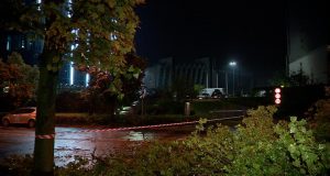 Вирвані з корінням дерева, зірвані дахи. Поломка погоди над Краковом Пожежний про ситуацію в Кракові після шторму