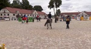 Чемпіонат світу з кінного спорту: золота медаль у виїздці для Британія Фрая Чемпіонат світу з кінного спорту: золота медаль у виїздці для Британія Фрая