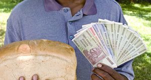 Інфляція в Республіці Зімбабве Інфляція в Республіці Зімбабве