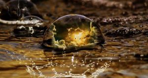 Пророчества и предсказания на 2023 год Кролика от астрологов и экстрасенсов