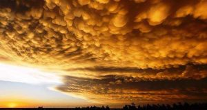 Пророцтва та передбачення на 2023 рік Кролика. від астрологів та екстрасенсів Пророцтва на 2023 рік від відомих екстрасенсів та астрологів