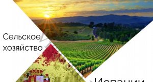 Сільське господарство Іспанії Сільське господарство Іспанії