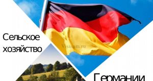 Сільське господарство Німеччини Сільське господарство Німеччини