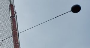 Трагедія в Нідерландах. Молот послизнувся і вбив випадкову людину Трагедія в Нідерландах. Молот послизнувся і вбив випадкову людину