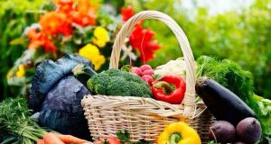 Сохраните и увеличьте урожай простыми способами