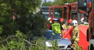 Варшава. У Фалениці автомобіль збив дитину. На місці приземлився рятувальний гелікоптер ДТП у Новій Волі біля Пясечно