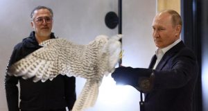 Росія. Радники Москви та Санкт-Петербурга вимагають відставки Володимира Путіна Володимир Путін позує з соколом на Камчатському економічному форумі