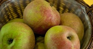 Поляки дослідили, скільки пестицидів ми споживаємо з фруктами. Їх містять яблука і цитрусові Поляки дослідили, скільки пестицидів ми споживаємо з фруктами. Їх містять яблука і цитрусові