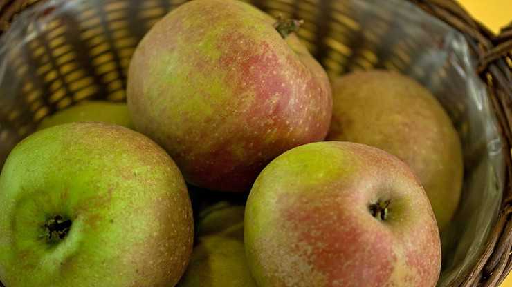 Поляки дослідили, скільки пестицидів ми споживаємо з фруктами.  Їх містять яблука і цитрусові