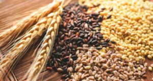 Как продать пшеницу дорого в Украине