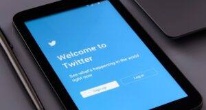 США. Ілон Маск перестане бути головою Twitter? Він залишив рішення в руках … користувачів Інтернету США. Ілон Маск перестане бути головою Twitter? Він залишив рішення в руках ... користувачів Інтернету