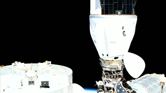 Капсула SpaceX Crew Dragon прибула на МКС