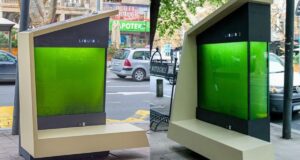 Таємничі контейнери на вулицях Белграда. Дослідники створили "рідкі дерева" Таємничі контейнери на вулицях Белграда. Дослідники створили "рідкі дерева"