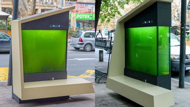  Таємничі контейнери на вулицях Белграда.  Дослідники створили "рідкі дерева"
