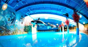 Київ для сімейного відпочинку: місця, які сподобаються дорослим та дітям