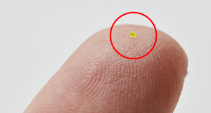 США. Гаманець продали за 60 тис доларів, хоча його майже не видно США. Гаманець продали за 60 тис доларів, хоча його майже не видно