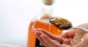 Бджолиний пилок: для чого її приймають чоловіки та жінки Бджолиний пилок: для чого її приймають чоловіки та жінки