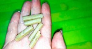 Свічки з прополісом – показання до застосування Свічки з прополісом - показання до застосування