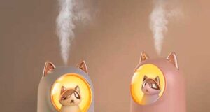 Почему увлажнитель воздуха нужен в каждом доме