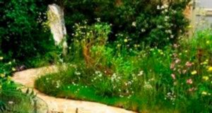 Як вибрати камінь для садових доріжок