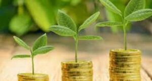 Экологический налог 2024: ставки, плательщики, срок уплаты