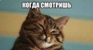 Якою буде мінімальна заробітна плата у 2024 році в Україні Якою буде мінімальна заробітна плата у 2024 році в Україні