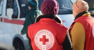 Помощь от Красного Креста в 2024 году: как получить ВПЛ