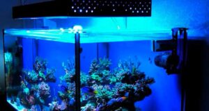 Зачем нужны лампы для аквариума?