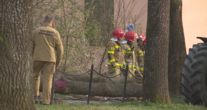 На сповіщення RCB очікуються серйозні зміни. Уряд розглядає нововведення На сповіщення RCB очікуються серйозні зміни. Уряд розглядає нововведення