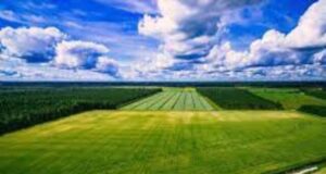 Індексація нормативної грошової оцінки земель 2024 Індексація нормативної грошової оцінки земель 2024