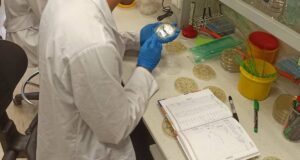 Де найбрудніші ящики для посилок? Виявлено один зв'язок Де найбрудніші ящики для посилок? Виявлено один зв'язок