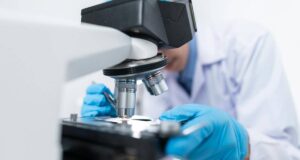 Німецькі вчені хочуть припинити ознаки старіння. Вони вказували на кров Німецькі вчені хочуть припинити ознаки старіння. Вони вказували на кров