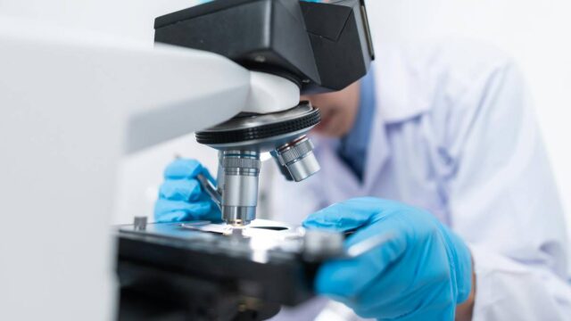 Німецькі вчені хочуть припинити ознаки старіння. Вони вказували на кров
