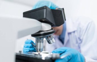 Ген столітнього віку може зупинити старіння серця. Надія в лікуванні прогерії Ген столітнього віку може зупинити старіння серця. Надія в лікуванні прогерії