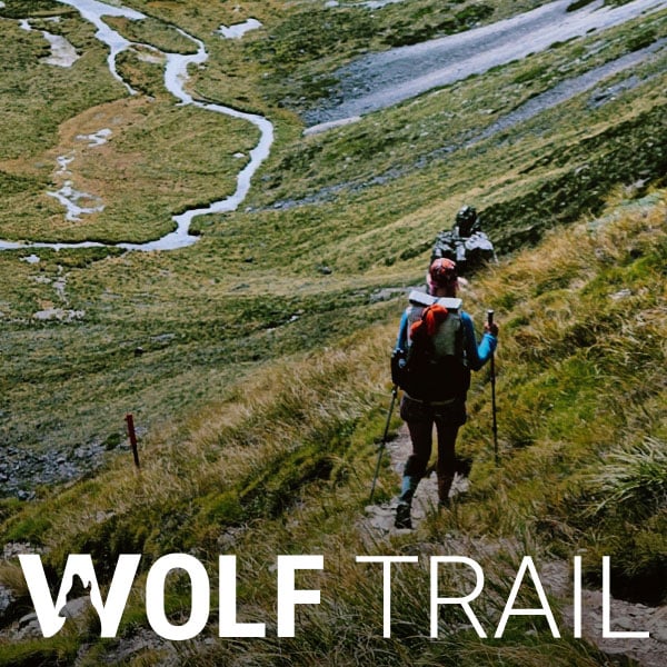 Туристка з рюкзаком і палицями піднімається стежкою Wolf Trail серед зелених гірських схилів